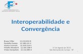 Convergencia e interoperabilidade 2.2013