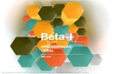 Beta i general-presentation_2013 (1)