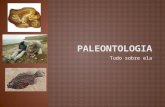 Tudo Sobre A Paleontologia