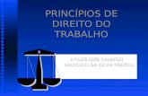 Powerpoint Principios Direito Trabalho