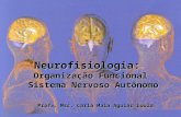 Fisiologia do sistema nervoso   organização funcional