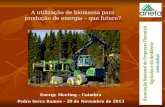 FORUM PORTUGAL ENERGY POWER: "A utilização de Biomassa para produção de energia. Que futuro?"
