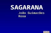 Sagarana - Guimarães Rosa