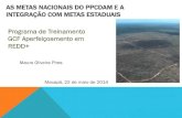 Metas PPCD AM e PPCDS por Mauro Pires- Treinamento GCF Macapá