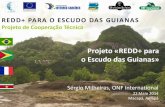 REDD+ nas Guianas por S©rgio Milheiras- Treinamento GCF/Macap