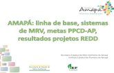 Cenário Amapá REDD+- Treinamento GCF/Macapá