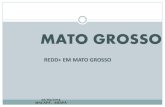 Cenário Mato Grosso REDD+- Treinamento GCF/Amapá