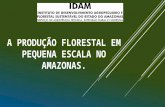 Debate Florestal: licenciamento e explora§£o florestal por IDAM