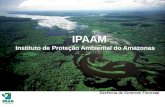 Debate Florestal: licenciamento e exploração florestal por IPAAM