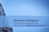 Palestra Business Intelligence