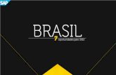 Brasil 7 oportunidades para 2012