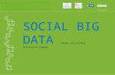 12 - 18/03/14 - Desenvolvimento de sistema de relacionamento das mídias sociais, estruturado por conceitos de big data e plataforma de mapeamento e mensuração da i