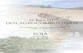 Brasil e dos Agrocombustiveis:Os Impactos das Lavouras sobre a Terra, o Meio e a Sociedade
