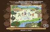 Trilhas da Regulariza§£o Fundiria para Comunidades nas Florestas Amaz´nicas