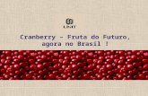 Cranberry – fruta do futuro