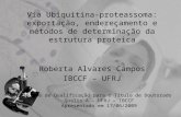 Qualify ubiquitin-proteasome - Presentation before PhD thesis