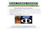 Guia Forex Expert