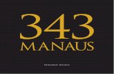 343 Manaus