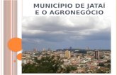 Dimensão do agronegócio no município de jataí go