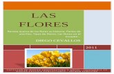 Revista flores (pdf)