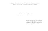 Apostila Cultura do Abacaxi e Processamento - UFG.doc