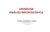 Analise Microscopica Urina (2)