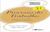 SINOPSES JURÍDICAS 31 - PROCESSO DO TRABALHO - 1ª edição