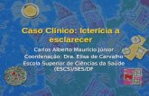 Caso Clinico Ictericia Esclarecer
