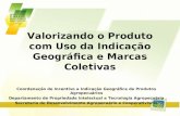 Beatriz Junqueira  MAPA - Valorizando o produto com o uso de Indicações Geográficas e Marcas Coletivas