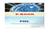 E book pnl