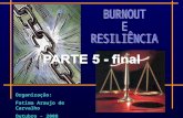 Resiliência e Burnout (Teoria e Superação) parte 5