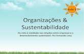 Organizações & Sustentabilidade