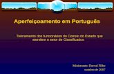 Treinamento em Português