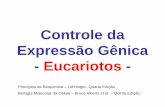 Controle da Expressão Gênica_Eucariotos