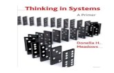 Thinking in systems