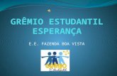 GrêMio Estudantil EsperançA Slide