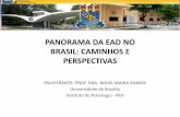 Cenários e perspectivas da EaD no Brasil, por Wilsa Ramos (2013)