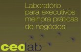 A proposta de criação de valor do CEOlab alavanca desempenho de clientes
