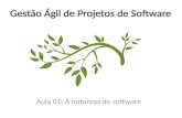 Introdução gestão agil de projetos de software
