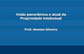 Visão panorâmica e atual da Propriedade Intelectual - Newton Silveira