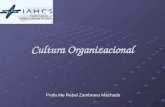 5   Cultura Organizacional