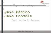 Java Básico :: Java Console