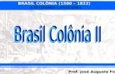2  brasil colônia ii
