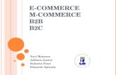 E-Commerce, M-Commerce, B2B e B2C