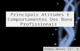 Principais atitudes e comportamentos dos bons profissionais
