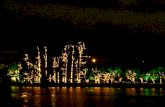 Luzes do Natal no Parque do Ibirapuera em São Paulo
