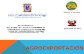 Agroexportacion en el Peru