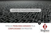 TIPOS DE PROBLEMAS GERADOS PELA COMPLEXIDADE EM PROJETOS - TYPES OF PROBLEMS GENERATED BY COMPLEXITY IN PROJECTS - O conteúdo irá lhe auxiliar a identificar problemas em projetos