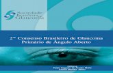 Sociedade Brasileira de Glaucoma - Segundo Consenso Brasileiro de Glaucoma Primário de Ângulo Aberto