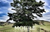 Mobile Web: Aqui e Agora